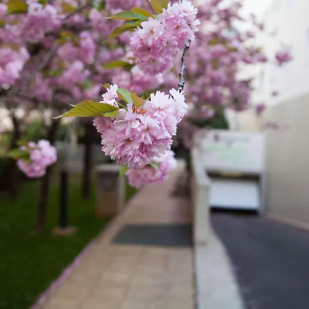 Campanile Prime 19 - La Hotel Paris