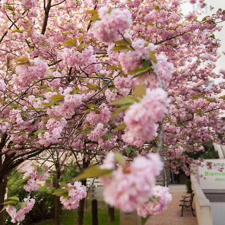 Campanile Prime 19 - La 3* Paříž